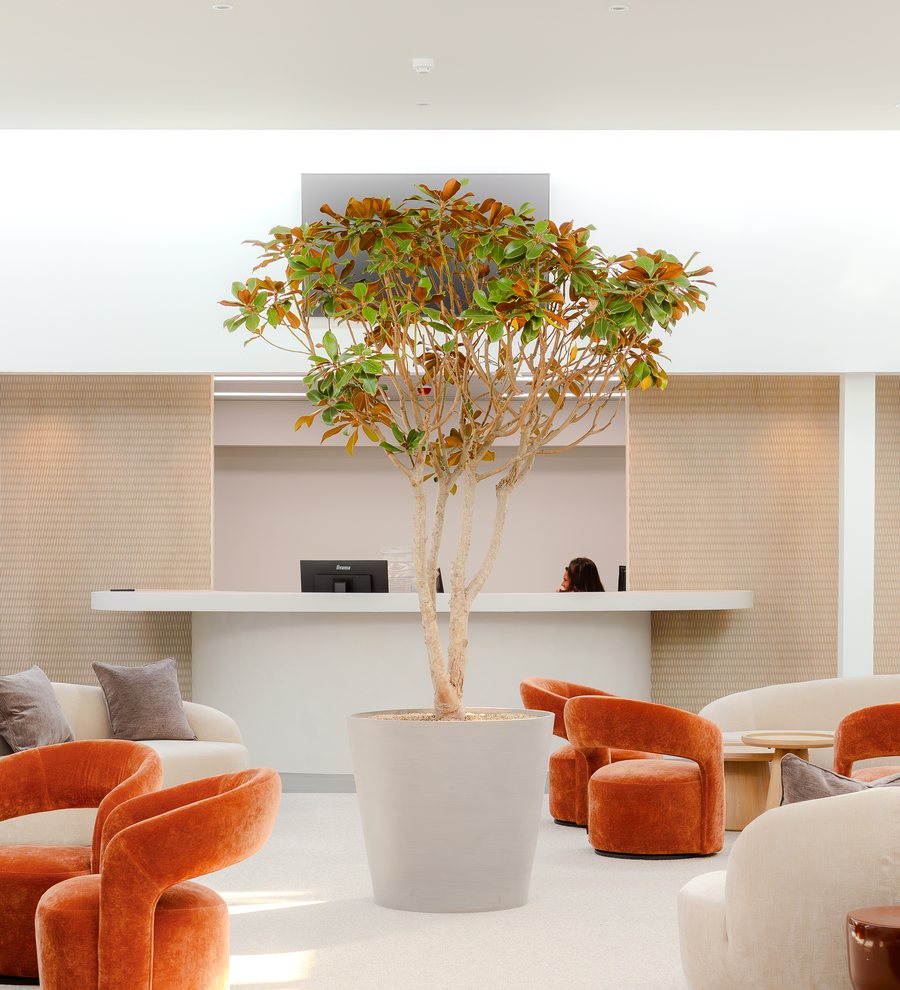 De wachtruimte met het onthaal van het Cosmipolis Health Innovation Center in Brugge